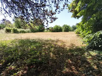 Terrain, 4 330 m²