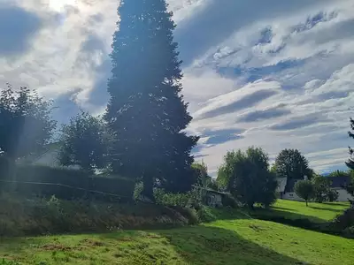 Terrain, 2 910 m²