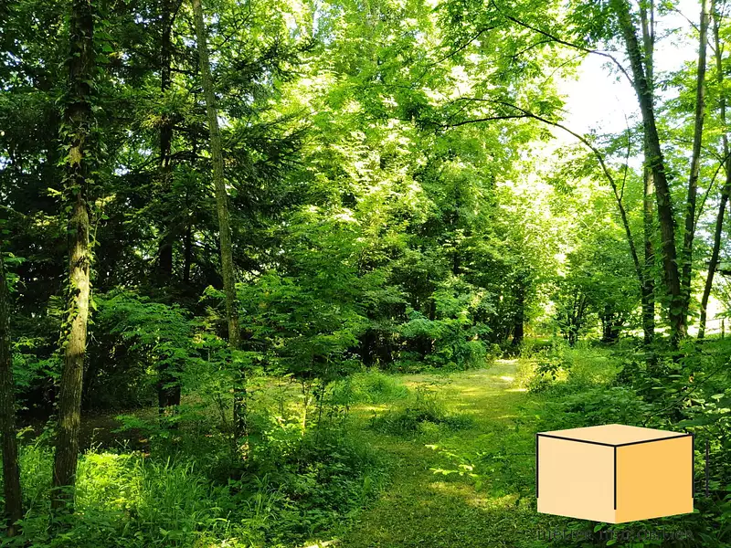 Terrain, 3 109 m²