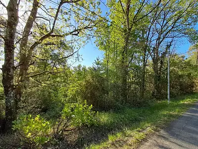 Terrain, 7 614 m²