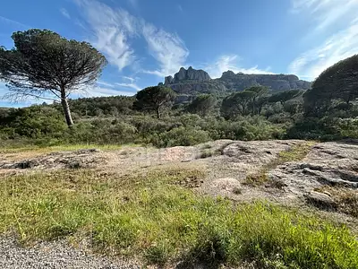 Terrain, 47 984 m²