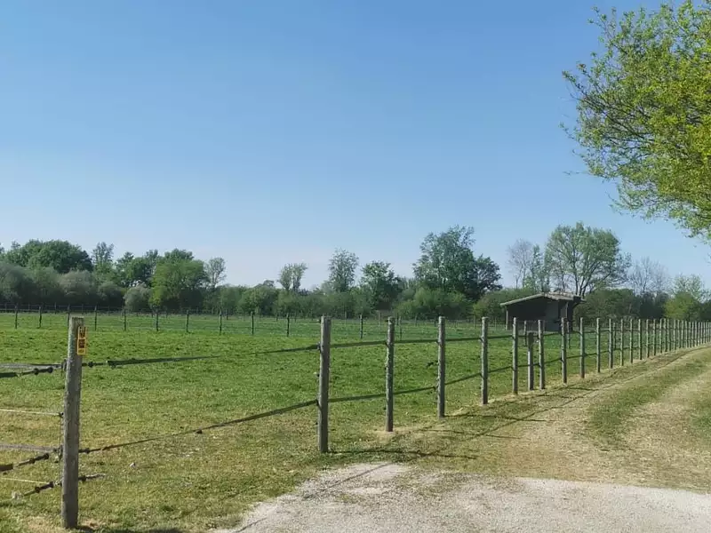 Maison, 859 m²