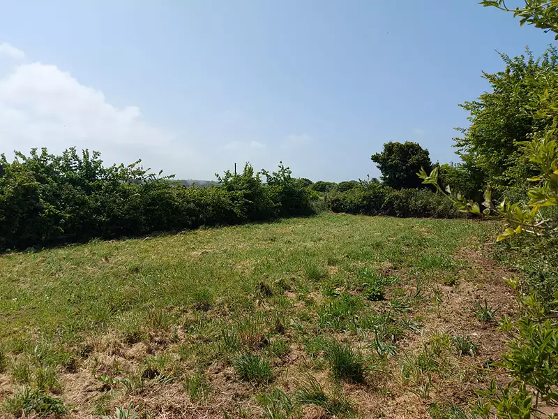 Terrain, 725 m²