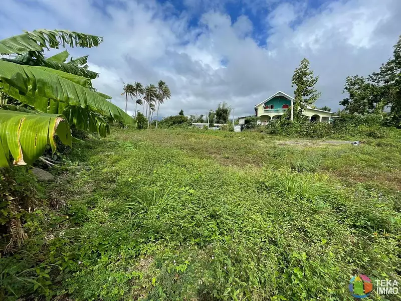 Terrain