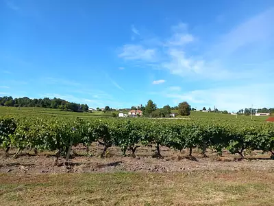Maison, 224 m²