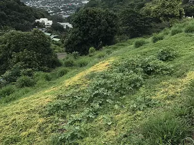 Terrain, 3 074 m²