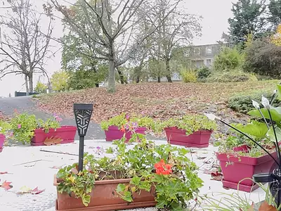 Appartement, 53,5 m²