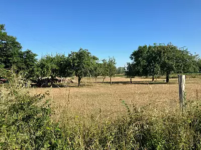 Terrain, 800 m²