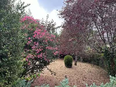 Maison, 83 m²
