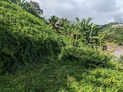 Terrain, 2 500 m²