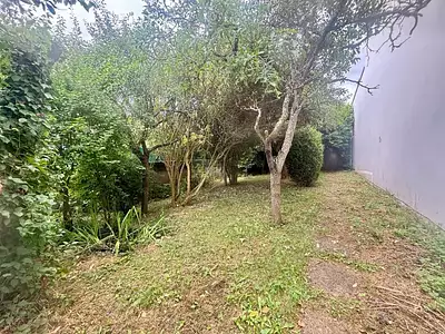Terrain, 265 m²