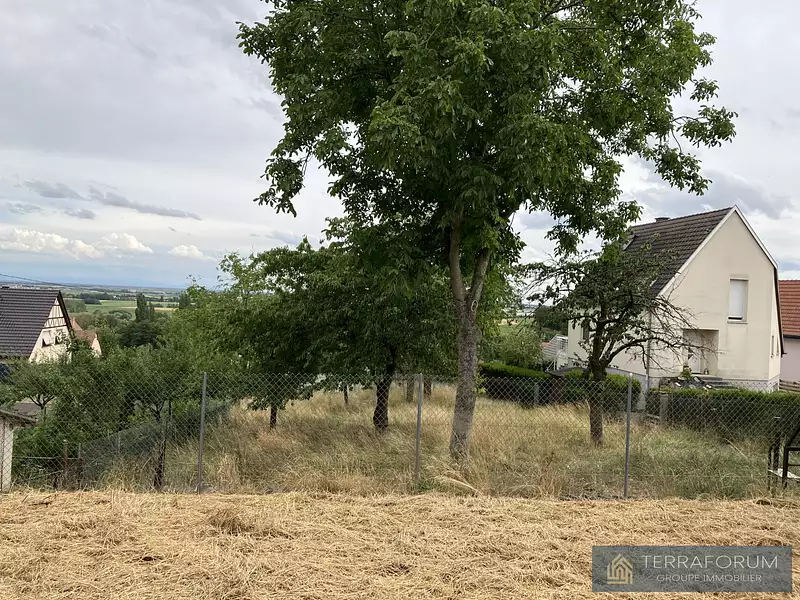 Terrain, 1 115 m²