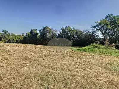 Terrain