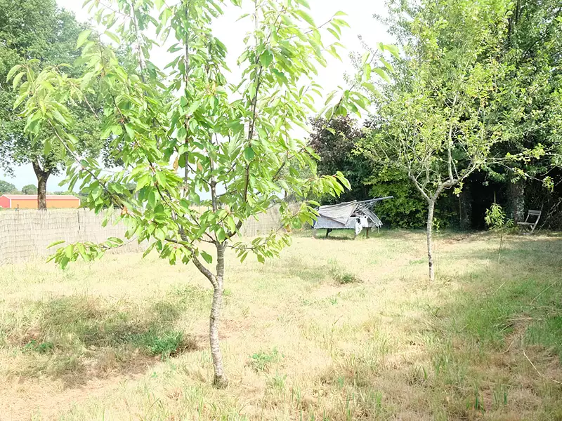 Terrain, 362 m²