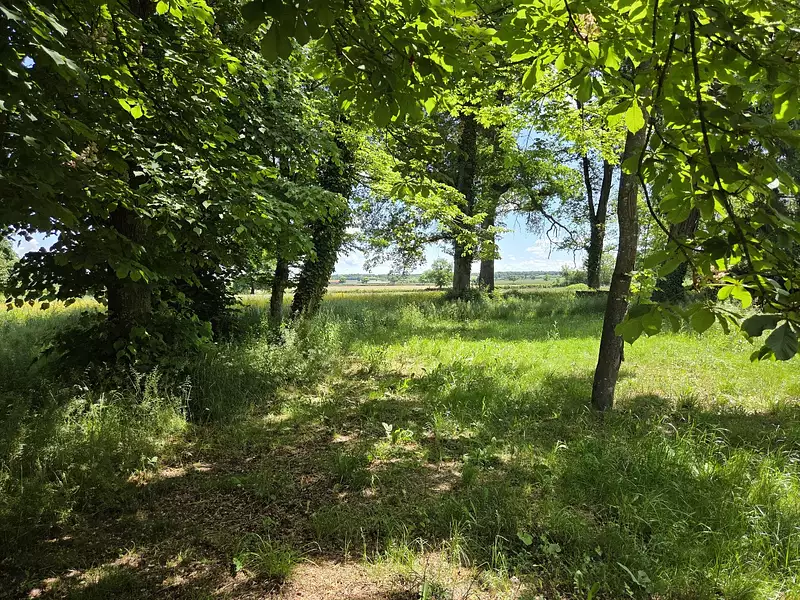 Maison, 396 m²