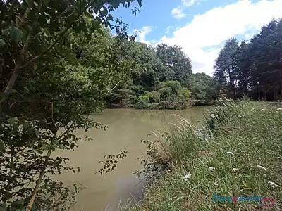 Terrain, 100 000 m²