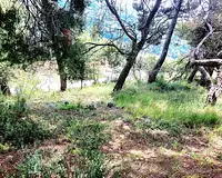 Terrain, 910 m²