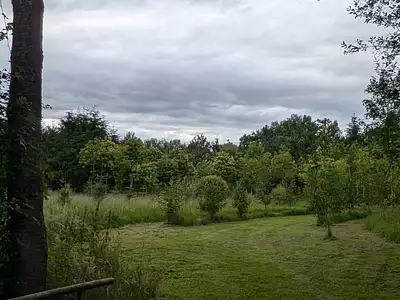 Terrain, 47 800 m²