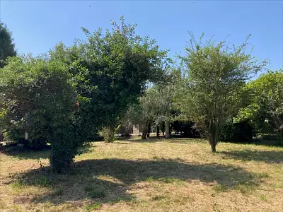 Terrain, 1 416 m²