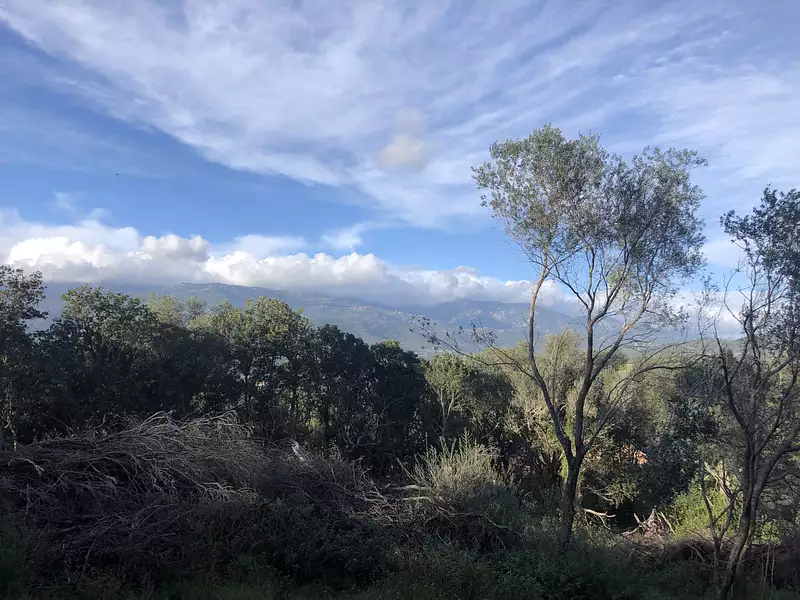 Terrain, 5 848 m²