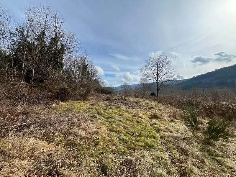 Terrain, 3 200 m²