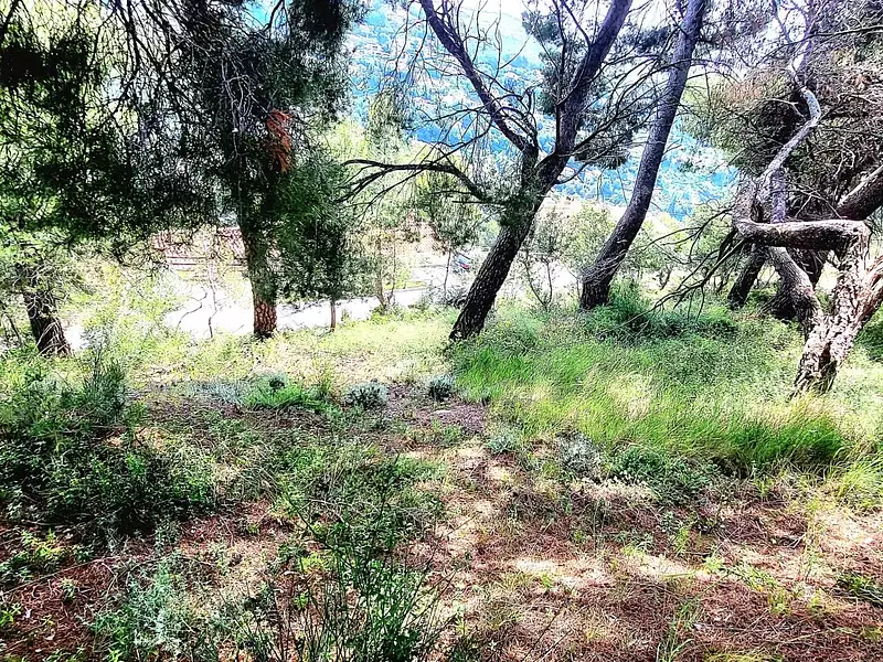 Terrain, 910 m²