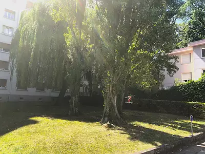 Appartement, 61,61 m²