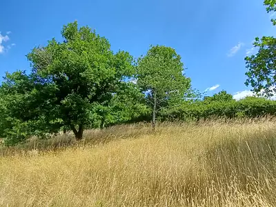 Maison, 82,71 m²