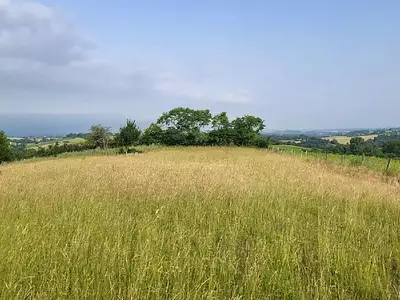 Terrain, 3 000 m²