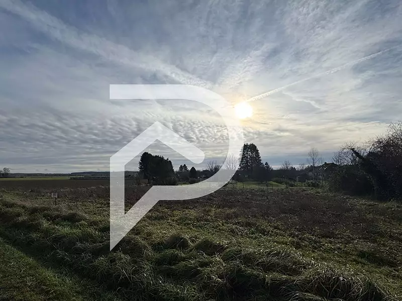 Terrain