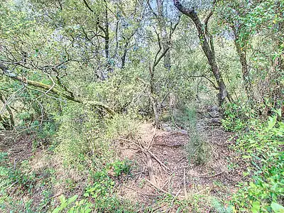 Terrain, 17 444 m²