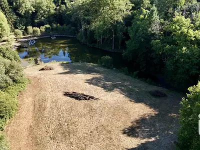 Terrain, 11 902 m²