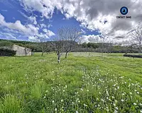 Terrain, 12 890 m²