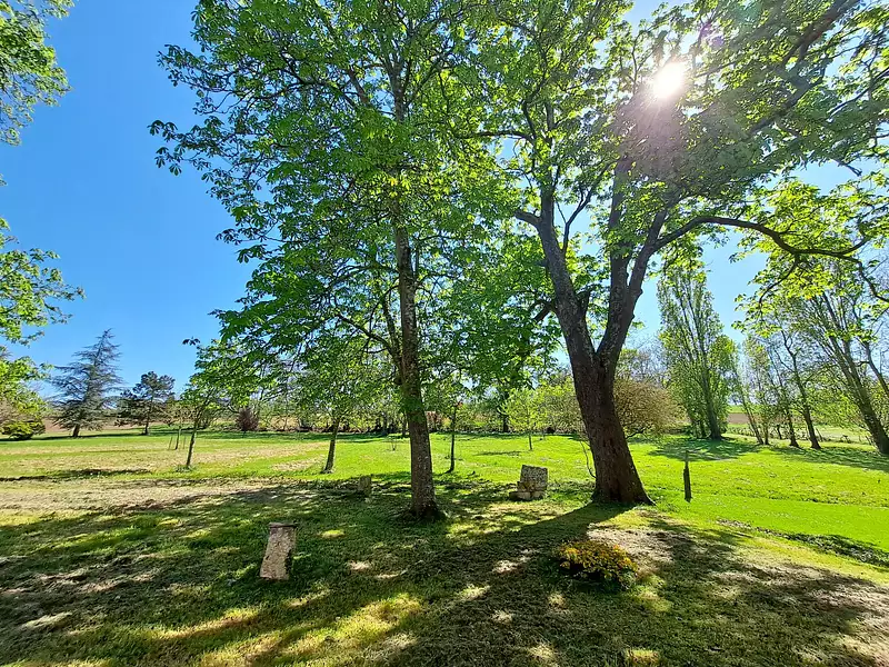 Maison, 292 m²