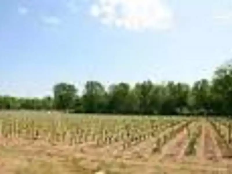 Terrain à bâtir, 515 m²