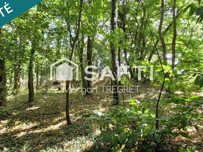 Terrain, 1 690 m²