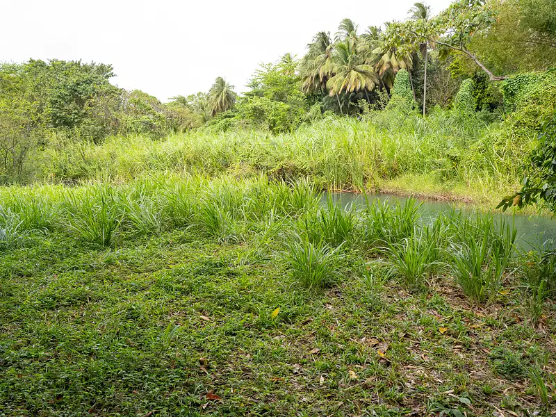 Terrain, 10 000 m²
