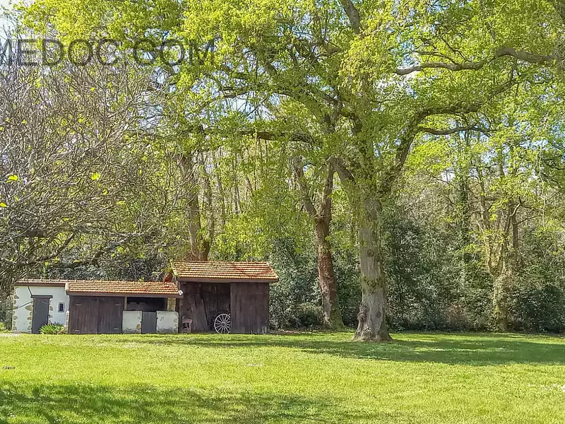 Maison, 240 m²