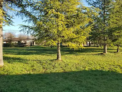 Terrain, 1 127 m²