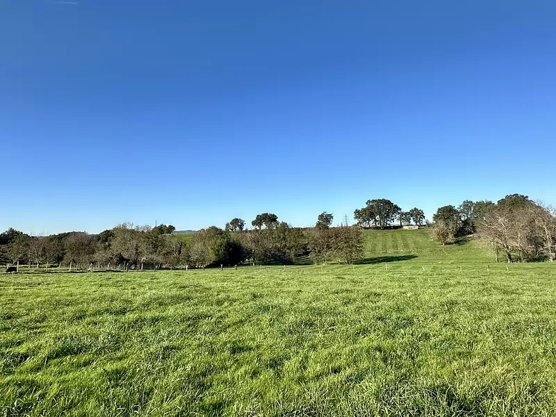 Terrain, 775 m²