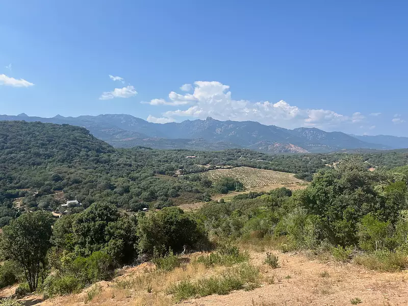 Terrain, 14 545 m²