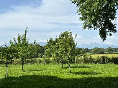 Maison, 360 m²
