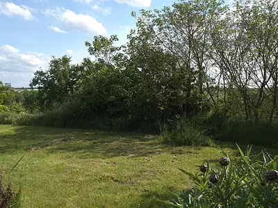 Terrain, 1 809 m²