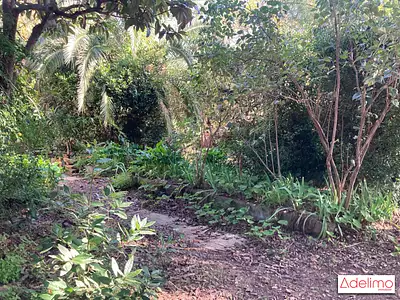 Terrain, 220 m²