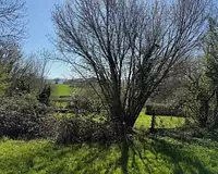 Maison, 175 m²