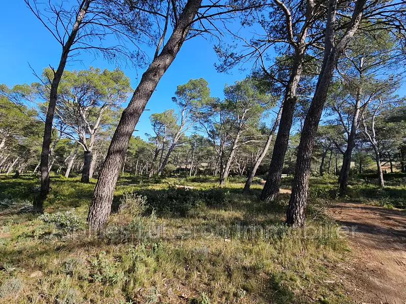 Terrain, 14 830 m²