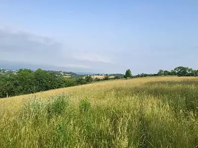 Terrain, 3 000 m²