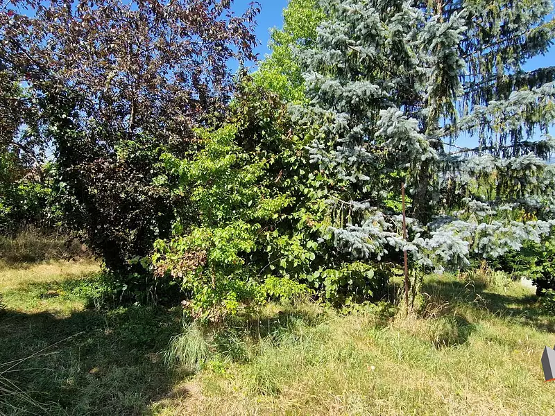 Terrain, 900 m²