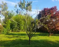 Terrain, 557 m²