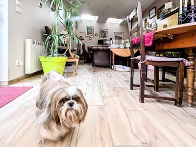 Maison, 140 m²